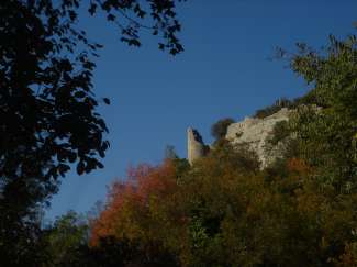 DSC07816.JPG